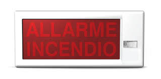 {"NOMEFILE":"ESS021_1.jpg","PREFERENZIALE":1,"PROGRESSIVO":"1","MD5":"7ca26405221d5e9744eefc95a5cda334"}