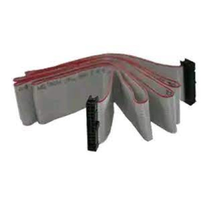Cavo piatto per montaggio rack 19' per centrale AM4000. 1,5 mt.