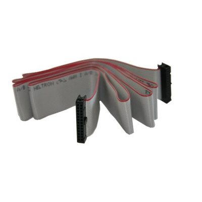 Cavo piatto per montaggio rack 19' per centrale AM6000N. 1,5 mt.